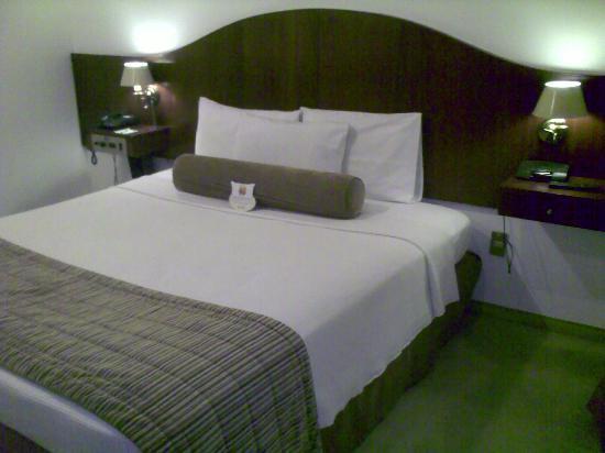 Hotel Anaca Sao Carlos Buitenkant foto